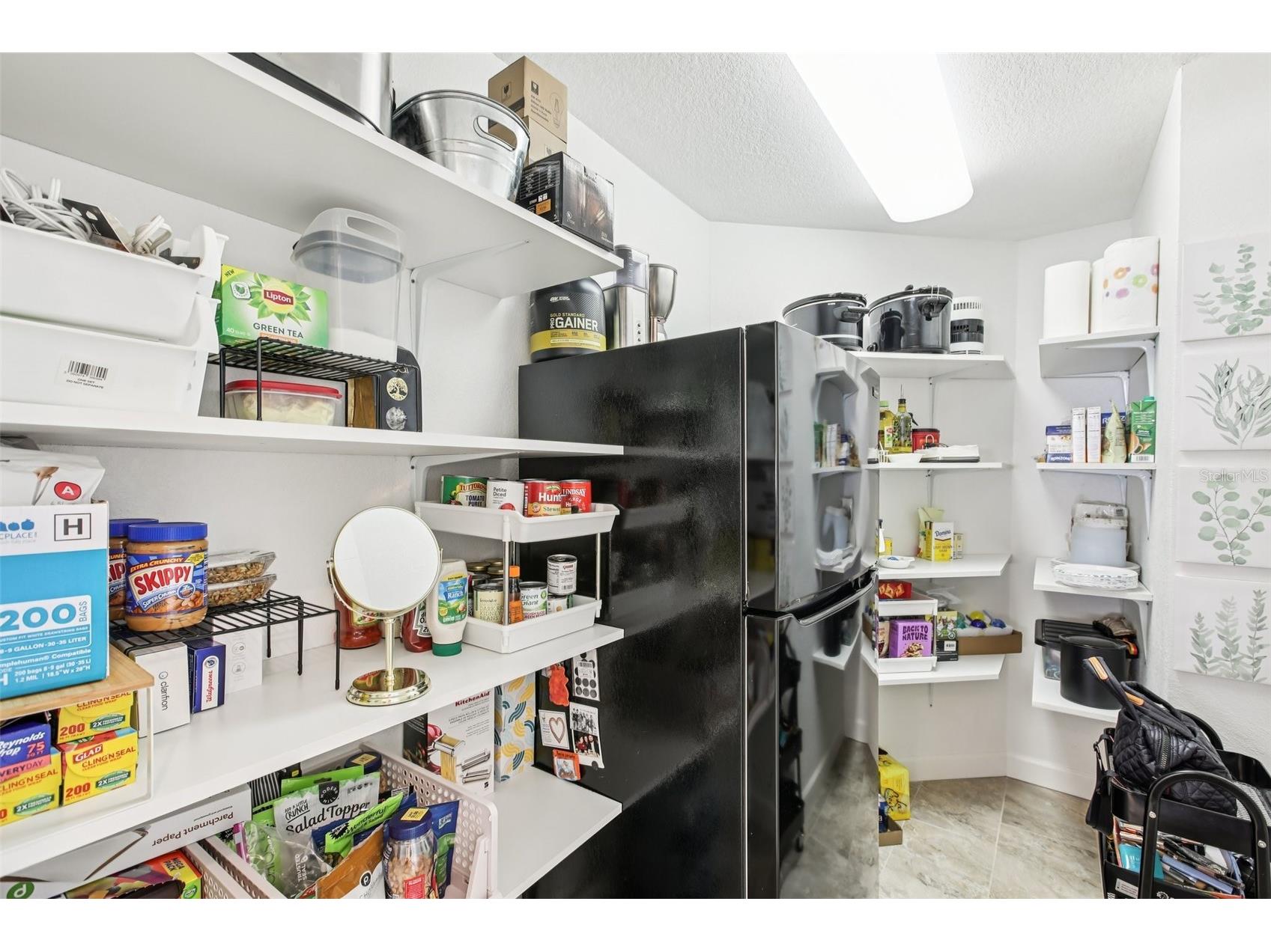 213 S Obrien Street Tampa FL 33609 TB8457618 image30