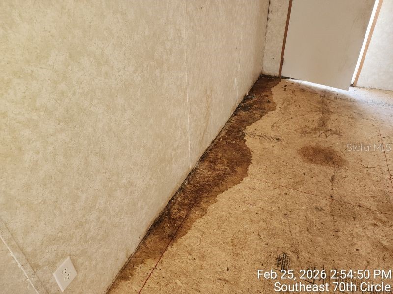 213 SE 70th Circle Ocala FL 34472 OM720620 image12