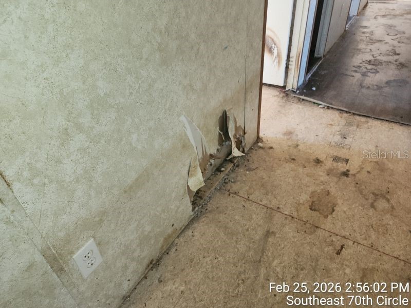 213 SE 70th Circle Ocala FL 34472 OM720620 image21