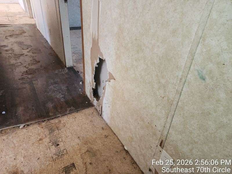 213 SE 70th Circle Ocala FL 34472 OM720620 image22