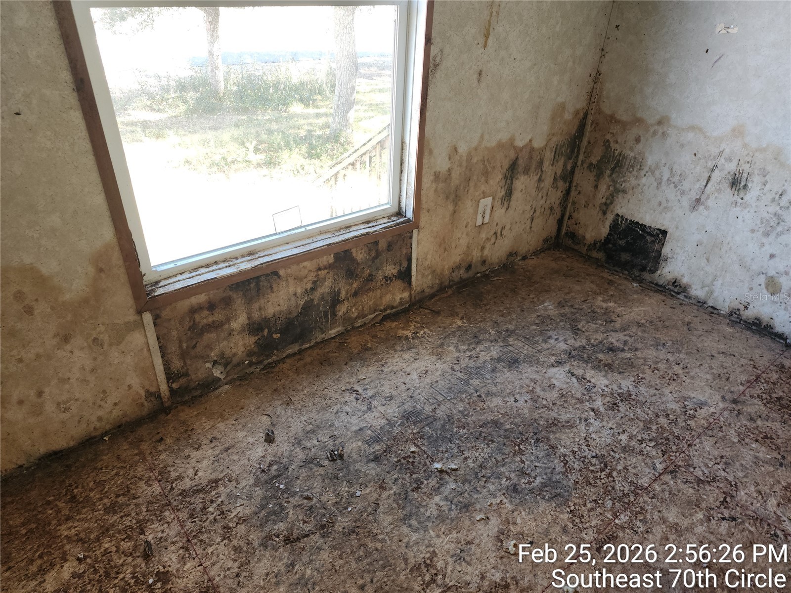 213 SE 70th Circle Ocala FL 34472 OM720620 image24