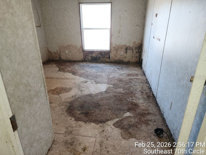 213 SE 70th Circle Ocala FL 34472 OM720620 image25