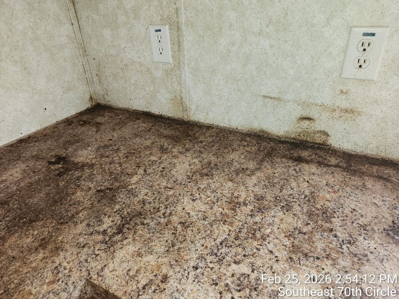 213 SE 70th Circle Ocala FL 34472 OM720620 image8