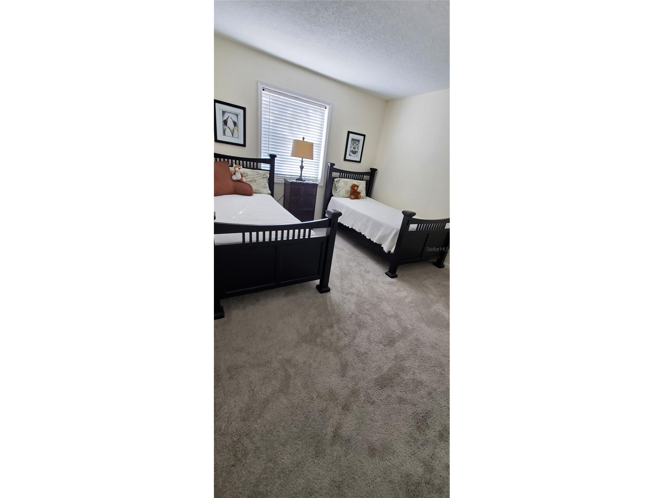 213 Seahorse Drive SE #D Saint Petersburg FL 33705 TB8489539 image11
