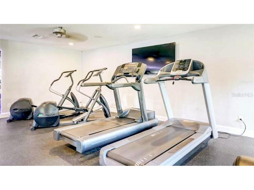 213 Seahorse Drive SE #D Saint Petersburg FL 33705 TB8489539 image15