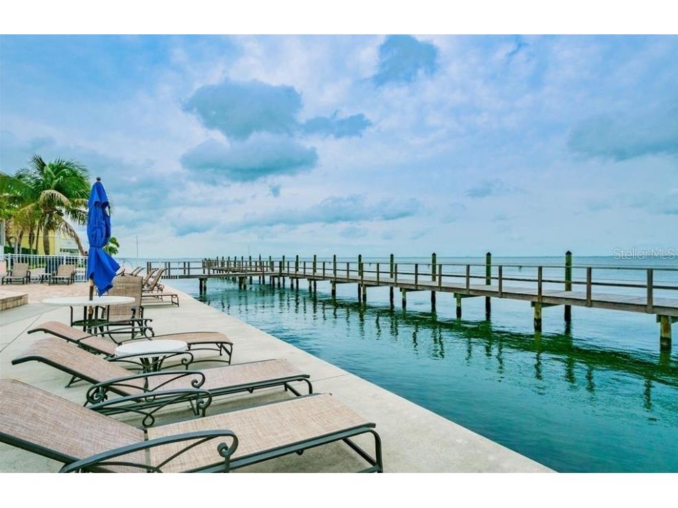 213 Seahorse Drive SE #D Saint Petersburg FL 33705 TB8489539 image40