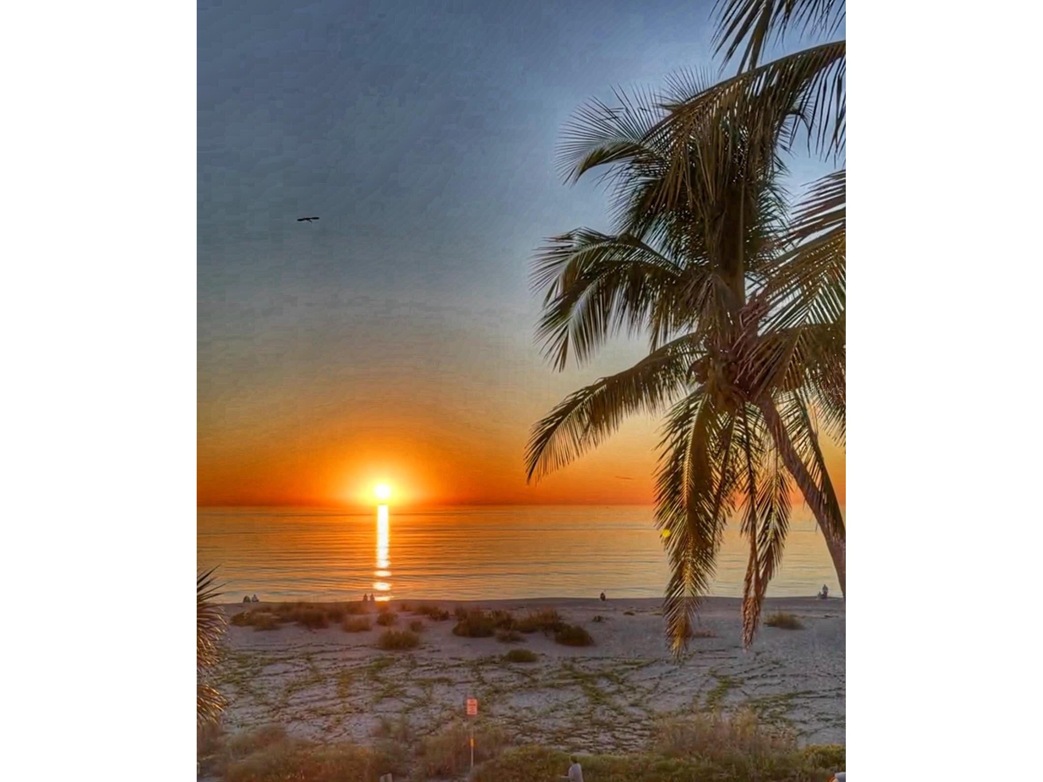 213 The Esplanade S Venice FL 34285 N6142028 image90