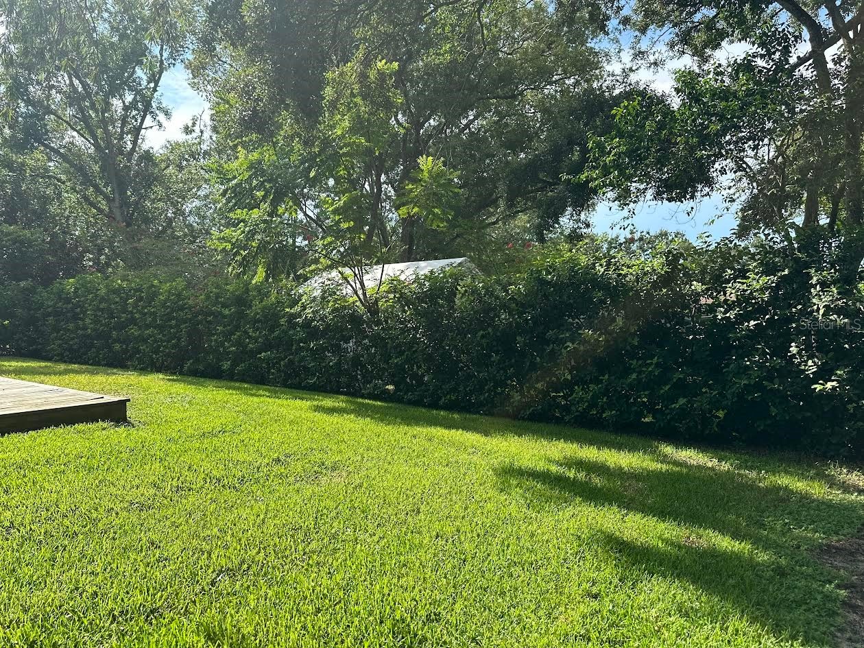 213 W Tilden Street Winter Garden FL 34787 O6381848 image21