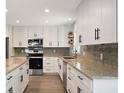 213 W Tilden Street Winter Garden FL 34787 O6381848 image4