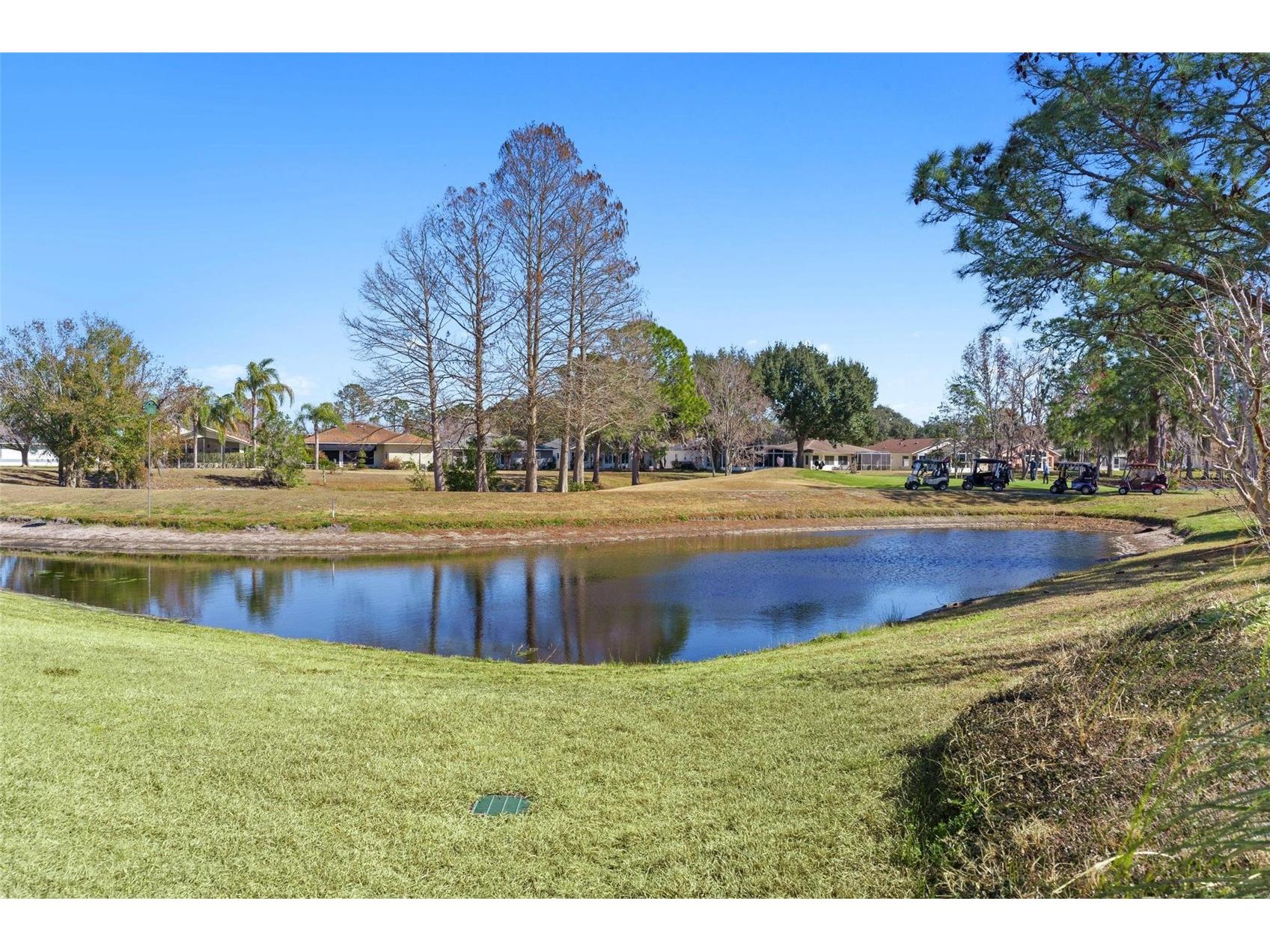 213 Willow Brook Drive Leesburg FL 34748 G5108003 image32