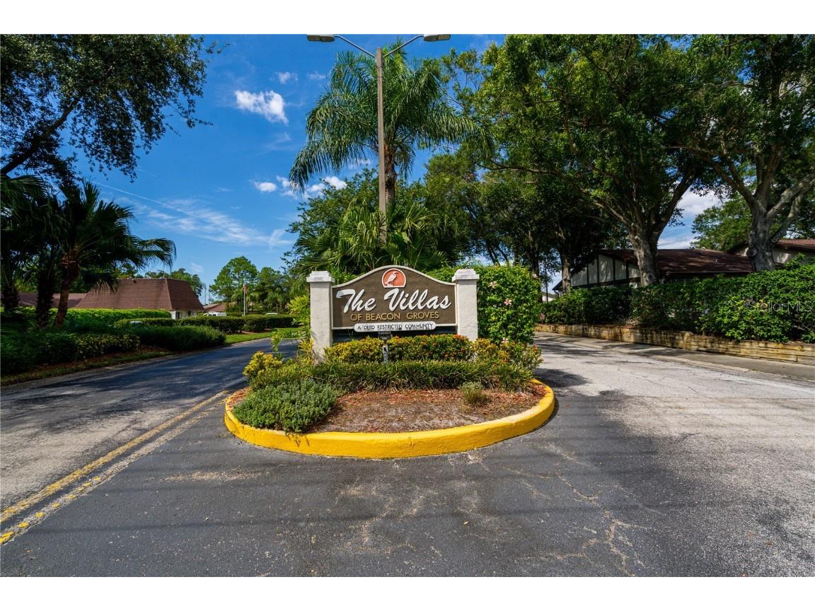 2130 Bancroft Place #A Palm Harbor FL 34683 T3468722 image1