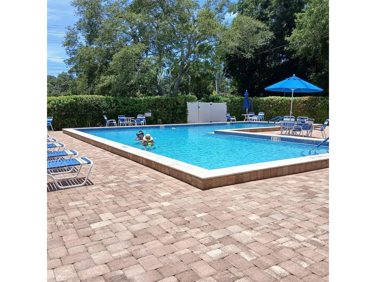 2130 Bancroft Place #E Palm Harbor FL 34683 TB8518907 image31