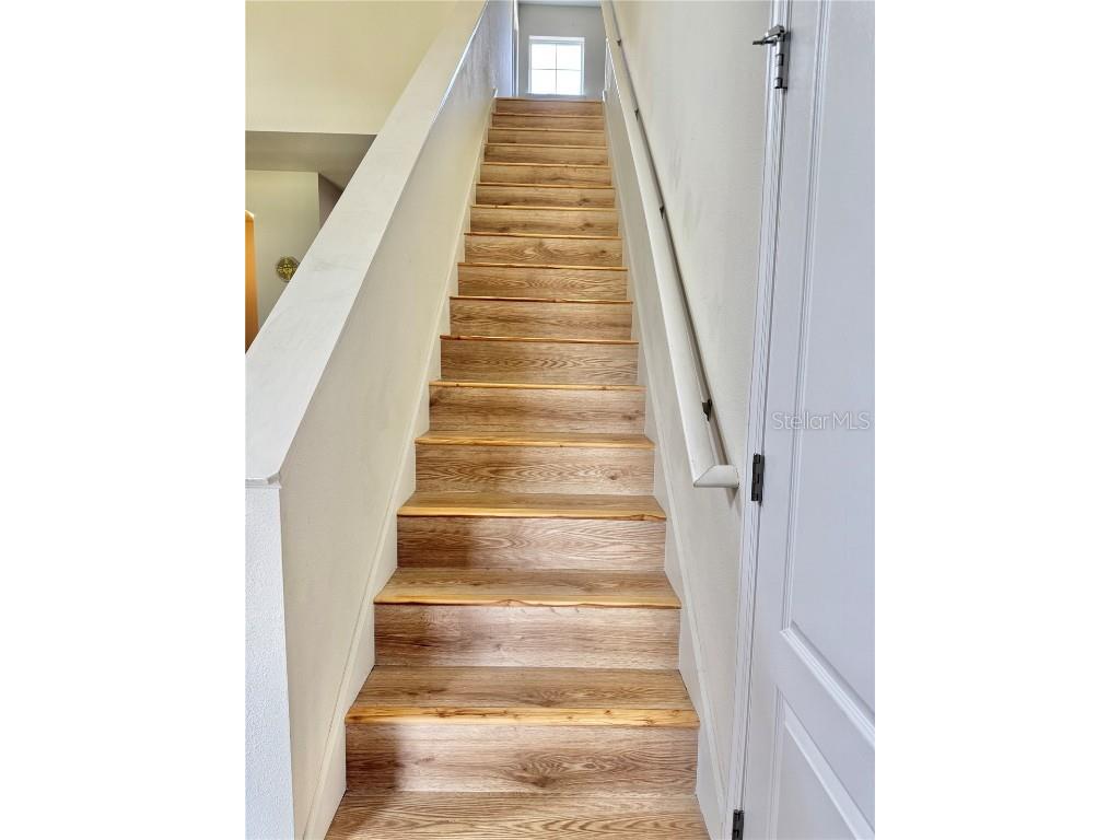 2130 Broadway View Avenue Brandon FL 33510 TB8408243 image13