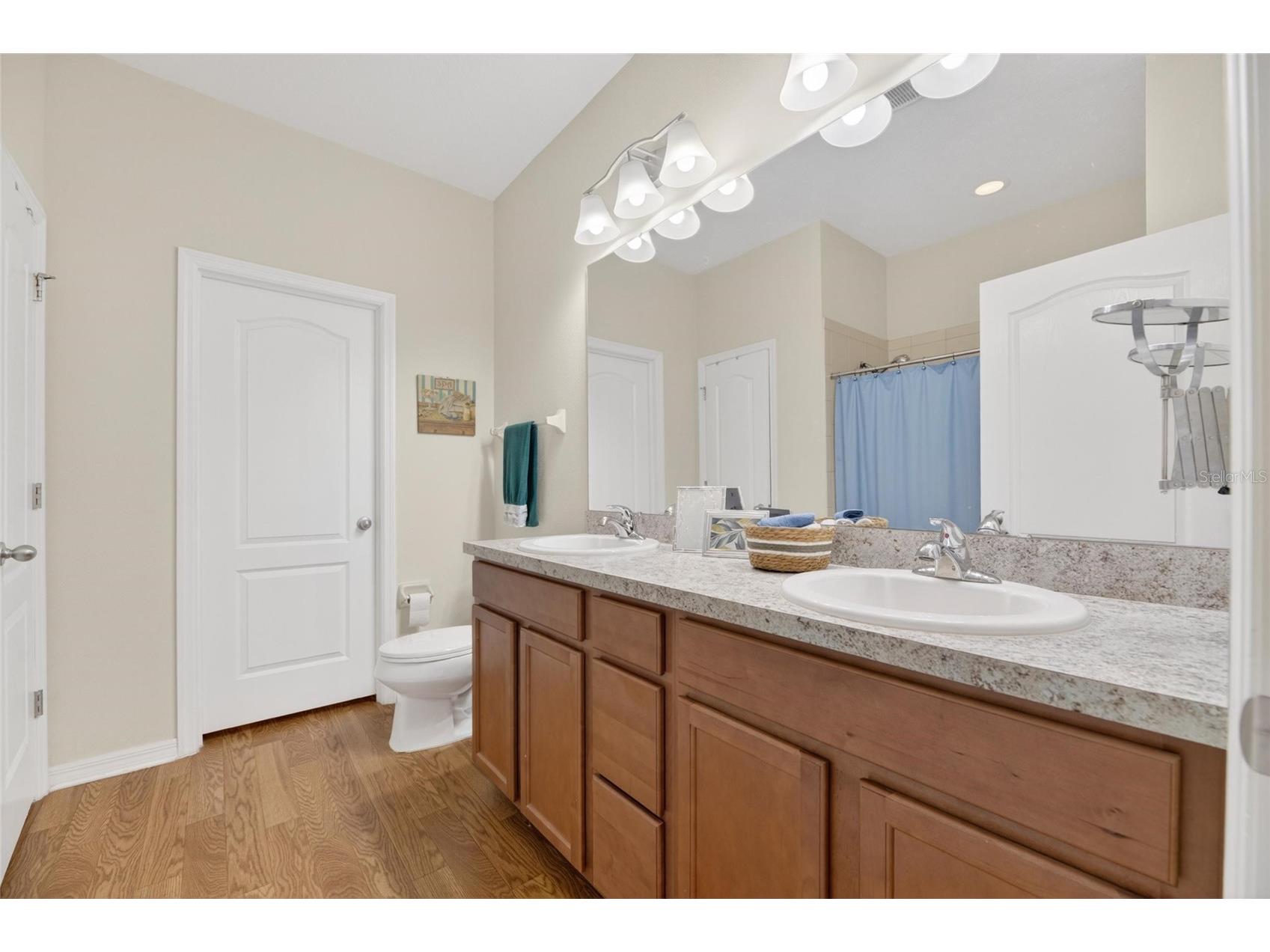 2130 Broadway View Avenue Brandon FL 33510 TB8504018 image20