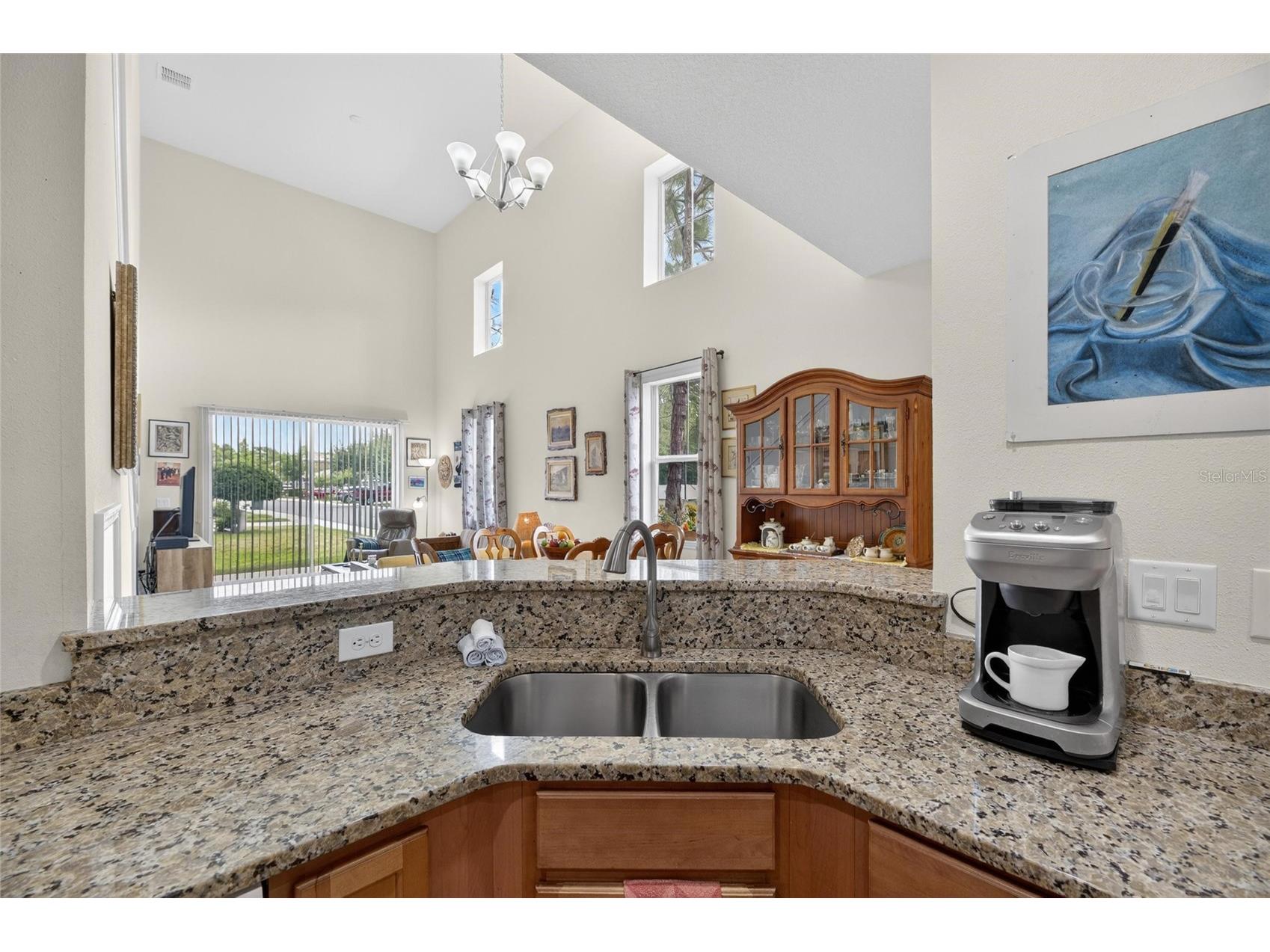 2130 Broadway View Avenue Brandon FL 33510 TB8504018 image6
