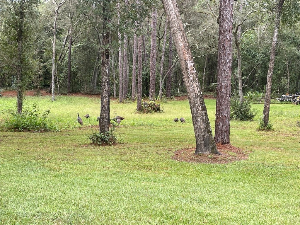 2130 E Kicklighter Road Lake Helen FL 32744 V4945882 image10