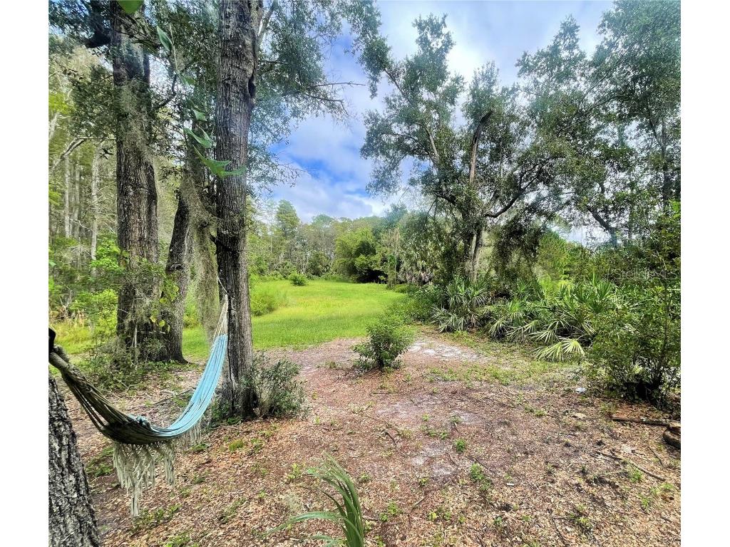 2130 E Kicklighter Road Lake Helen FL 32744 V4945882 image11