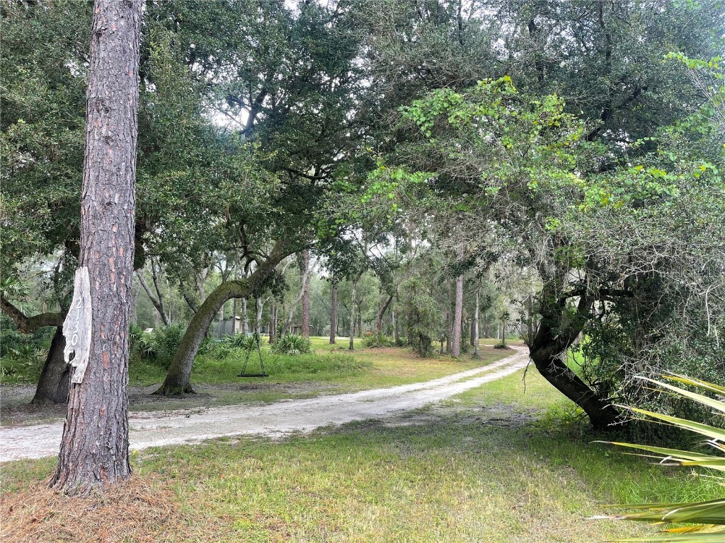 2130 E Kicklighter Road Lake Helen FL 32744 V4945882 image14