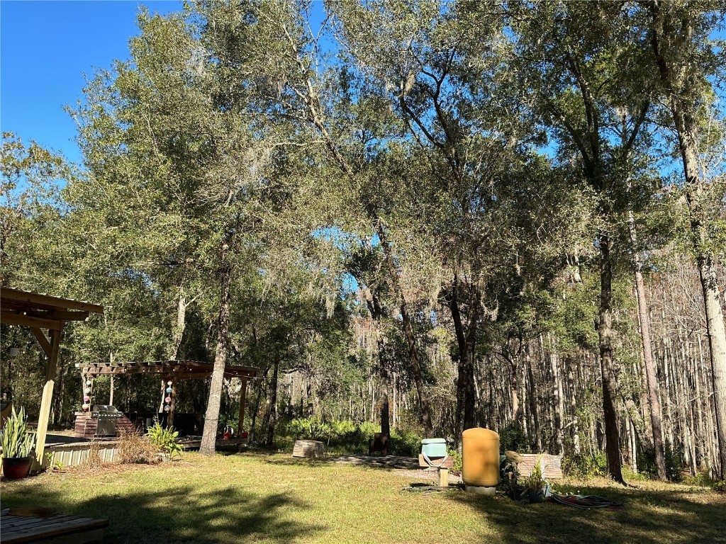 2130 E Kicklighter Road Lake Helen FL 32744 V4945882 image16