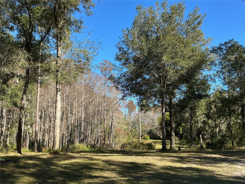 2130 E Kicklighter Road Lake Helen FL 32744 V4945882 image20