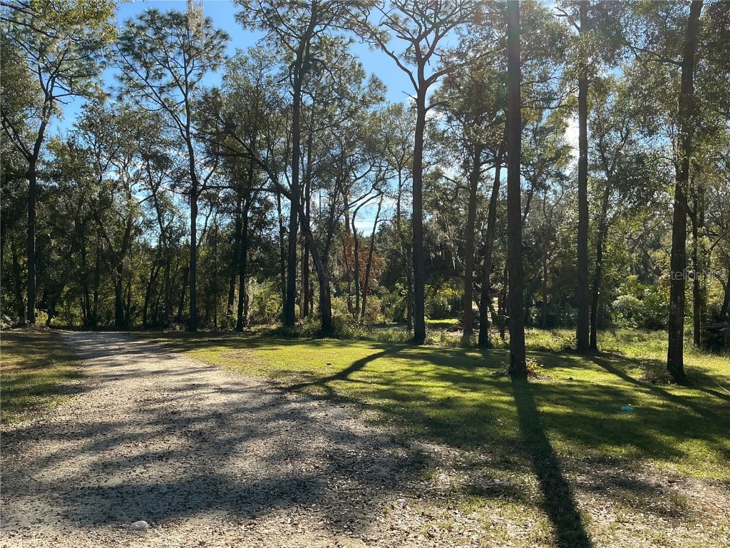 2130 E Kicklighter Road Lake Helen FL 32744 V4945882 image22