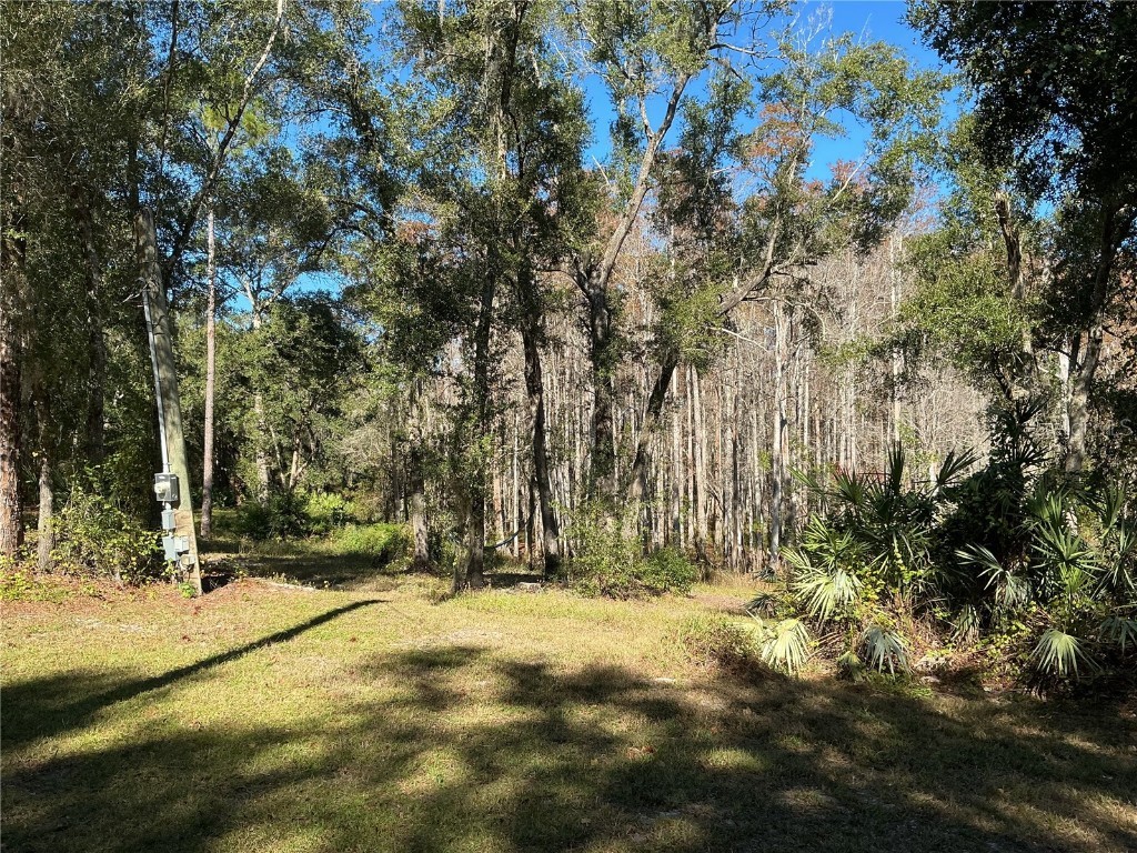 2130 E Kicklighter Road Lake Helen FL 32744 V4945882 image25