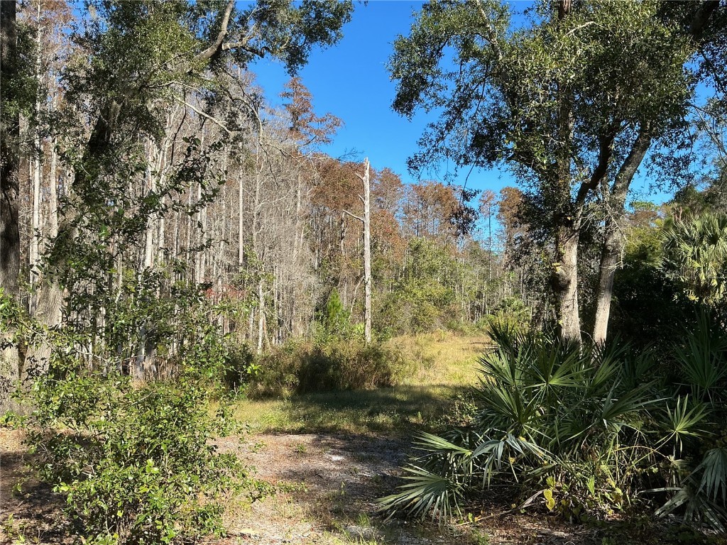 2130 E Kicklighter Road Lake Helen FL 32744 V4945882 image28