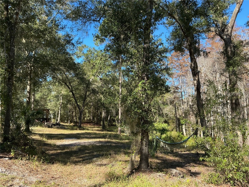 2130 E Kicklighter Road Lake Helen FL 32744 V4945882 image29