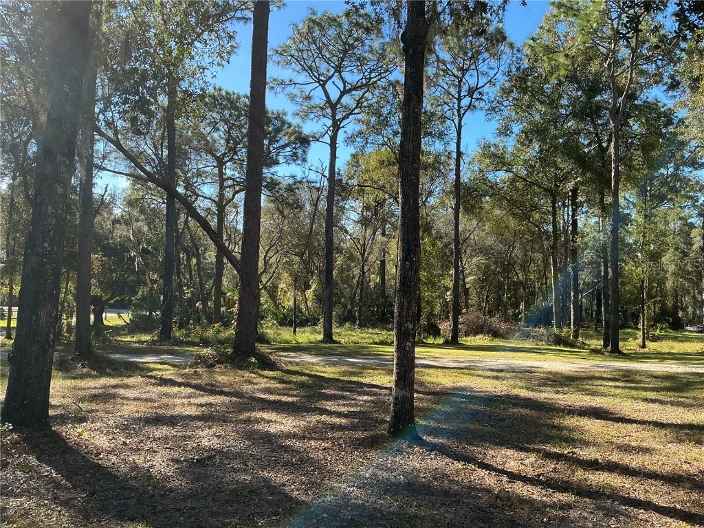 2130 E Kicklighter Road Lake Helen FL 32744 V4945882 image32