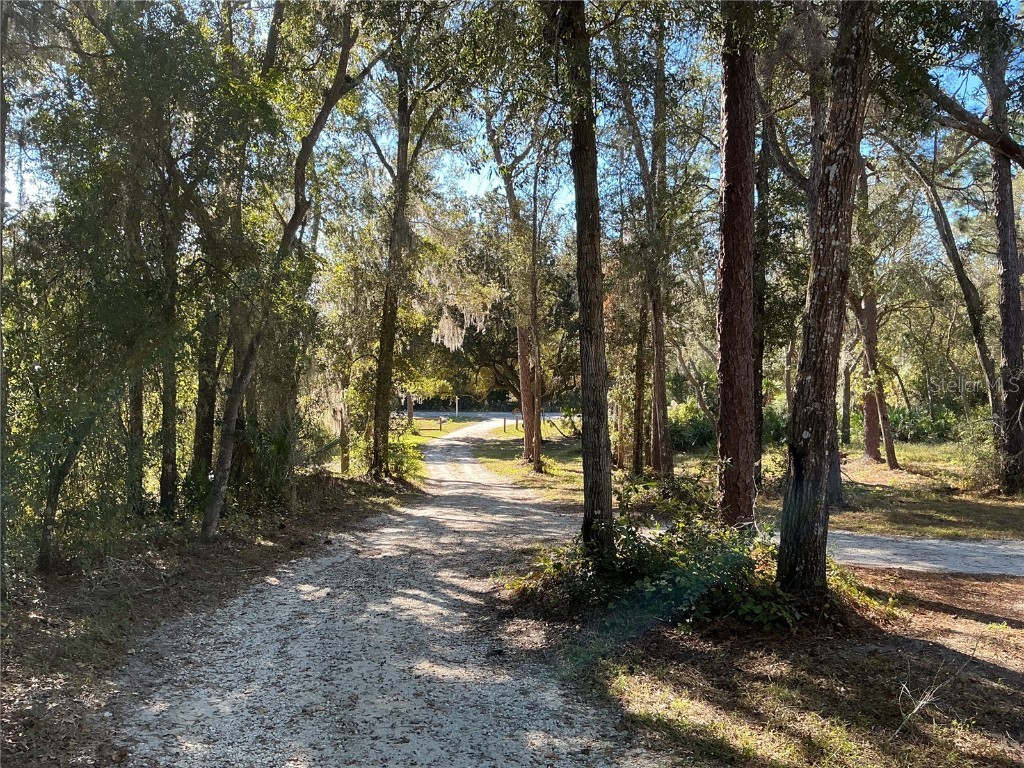 2130 E Kicklighter Road Lake Helen FL 32744 V4945882 image33