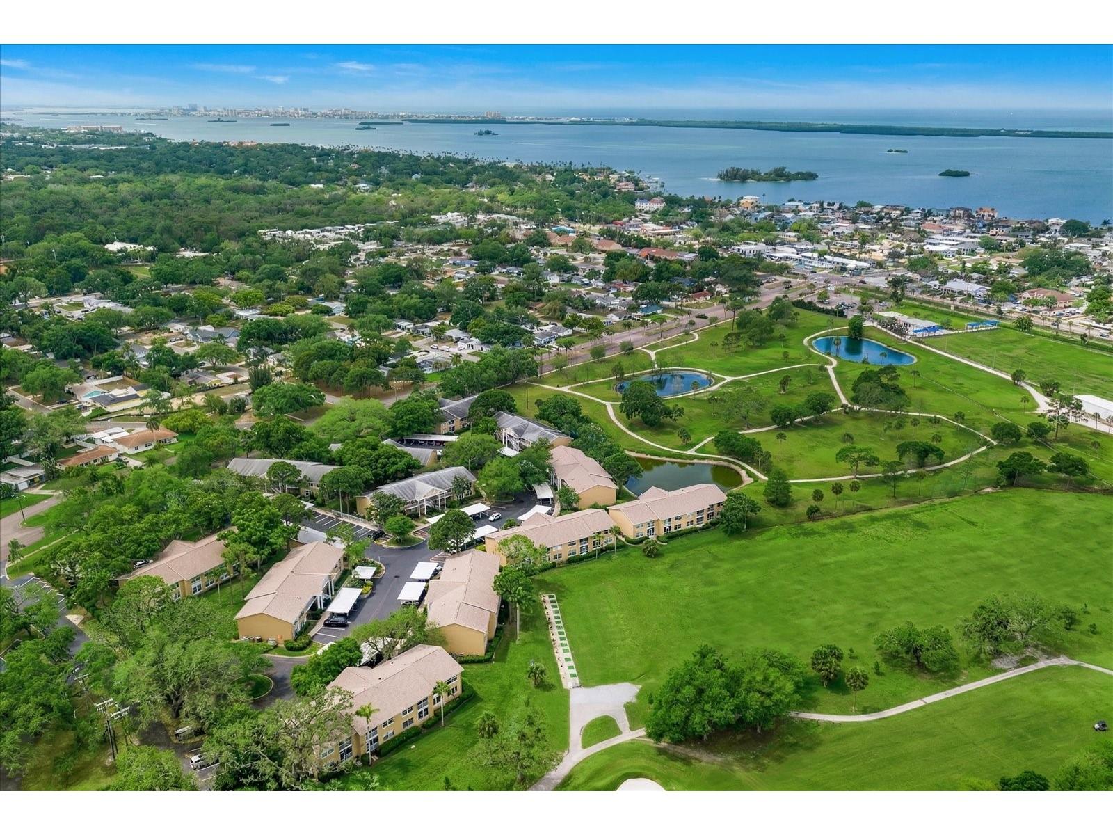 2130 Gulf View Boulevard #2130 Dunedin FL 34698 TB8493438 image3
