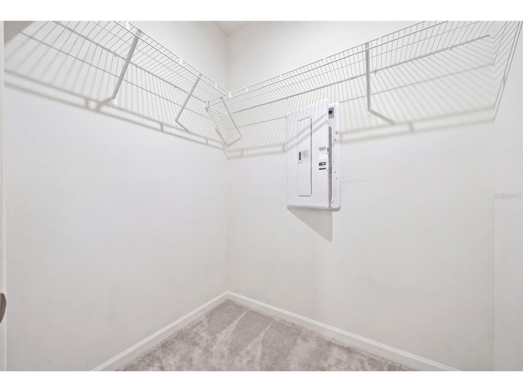 2130 Laceflower Drive Brandon FL 33510 TB8498789 image17