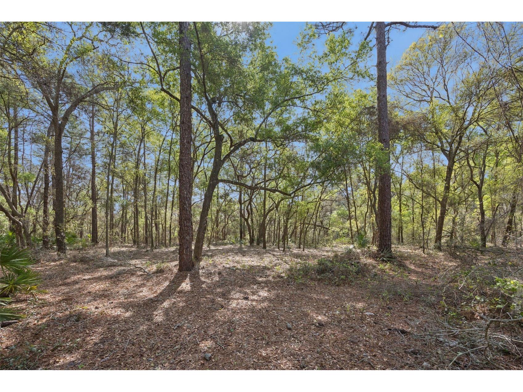 2130 Missoula Trail Deltona FL 32738 O6392581 image7