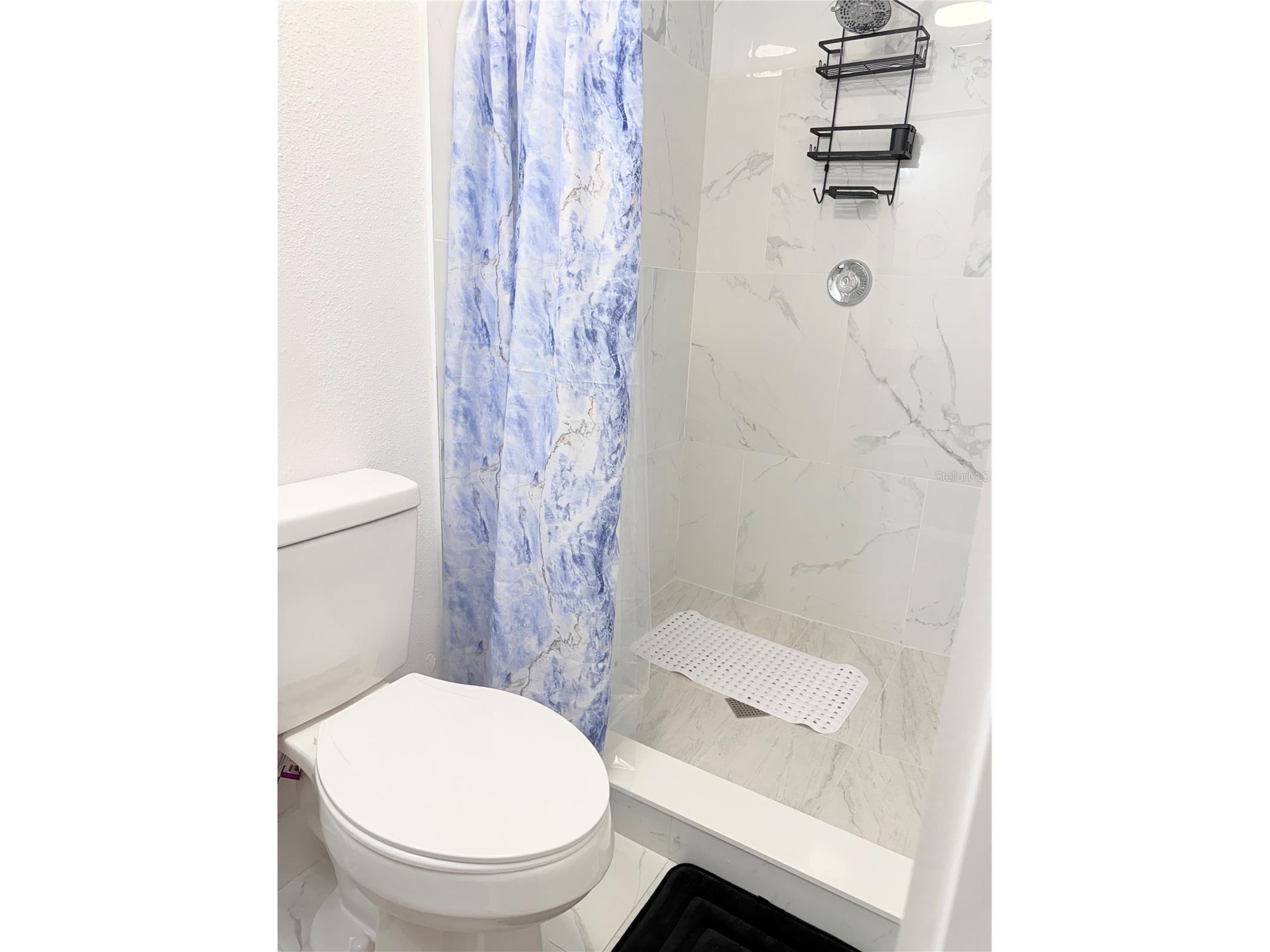 2130 Redleaf Drive Brandon FL 33510 TB8517584 image38