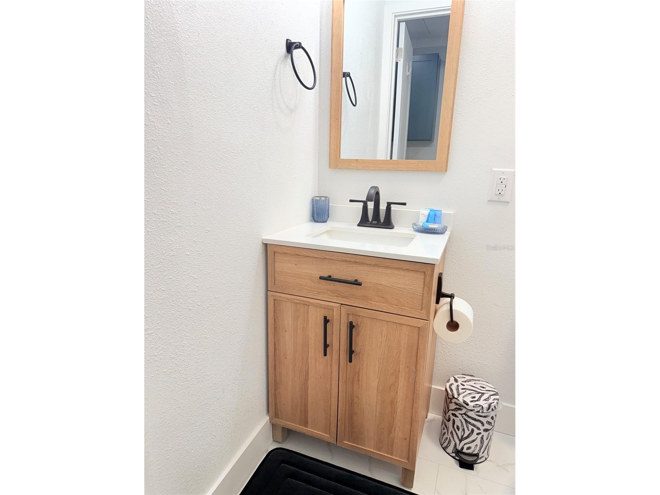 2130 Redleaf Drive Brandon FL 33510 TB8517584 image39