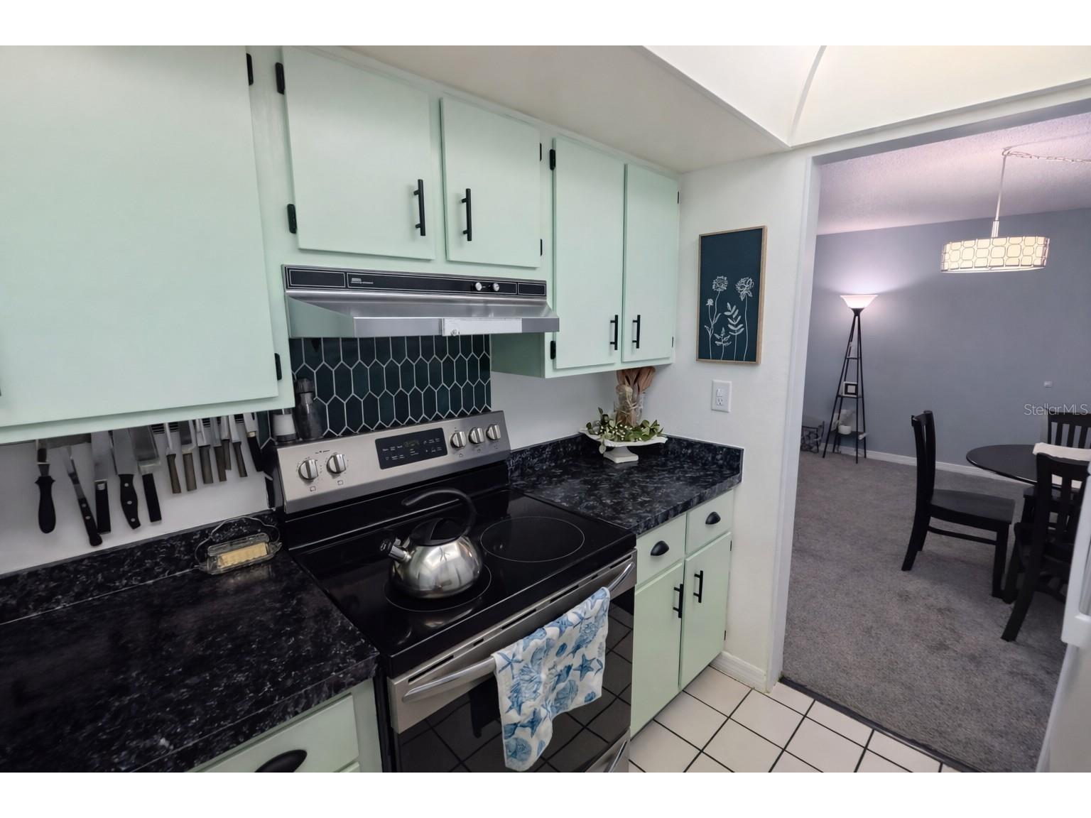 21300 Brinson Avenue #111 Port Charlotte FL 33952 C7521578 image9