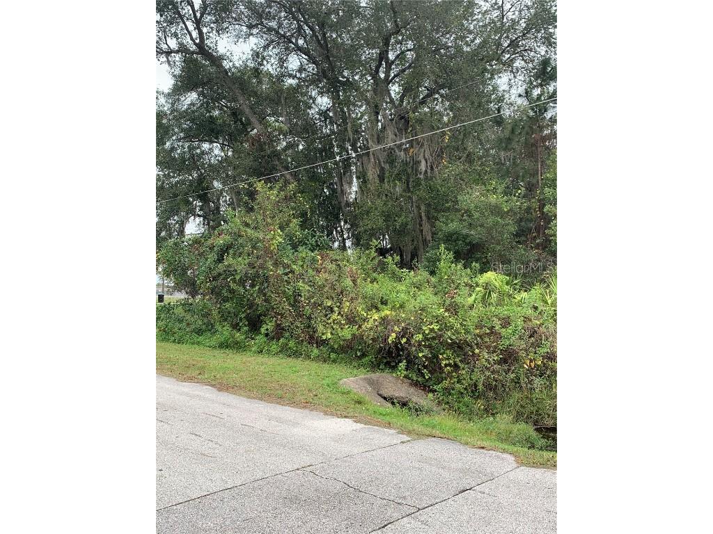 2131 Brighton Lane Orlando FL 32817 O6106376 image1