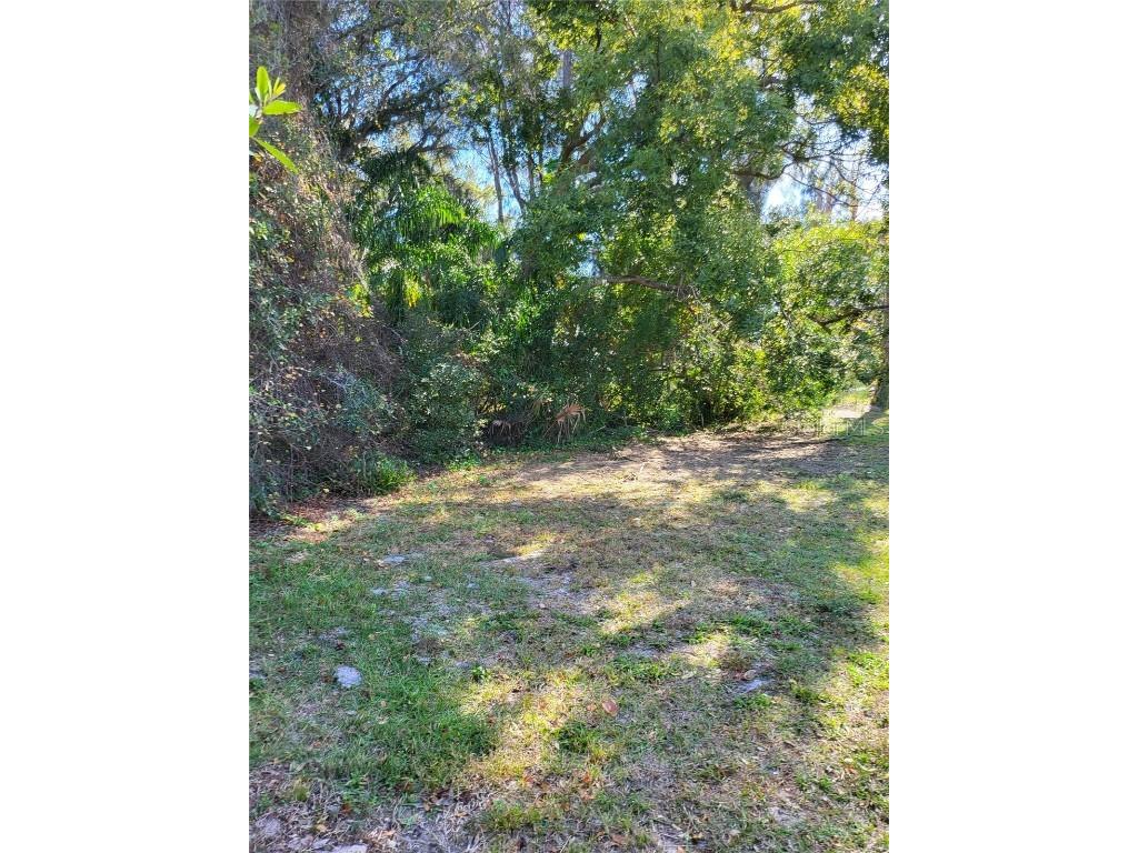 2131 Coachman Road NE Clearwater FL 33765 O6361076 image10