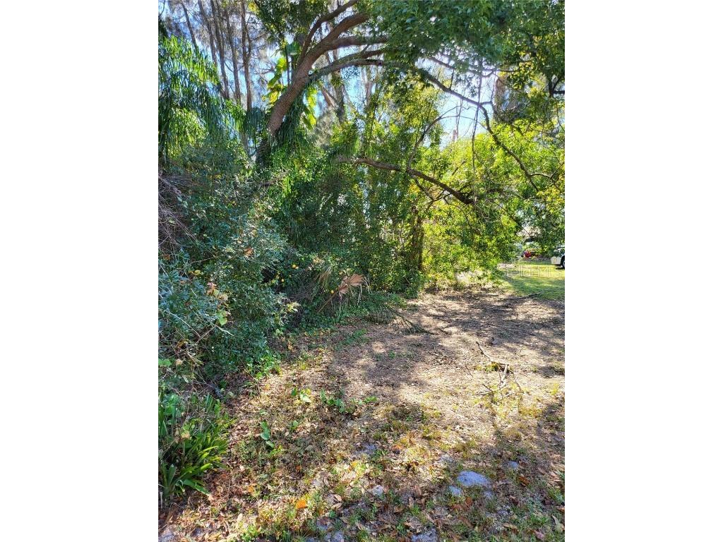 2131 Coachman Road NE Clearwater FL 33765 O6361076 image13