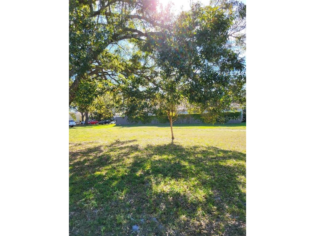 2131 Coachman Road NE Clearwater FL 33765 O6361076 image7