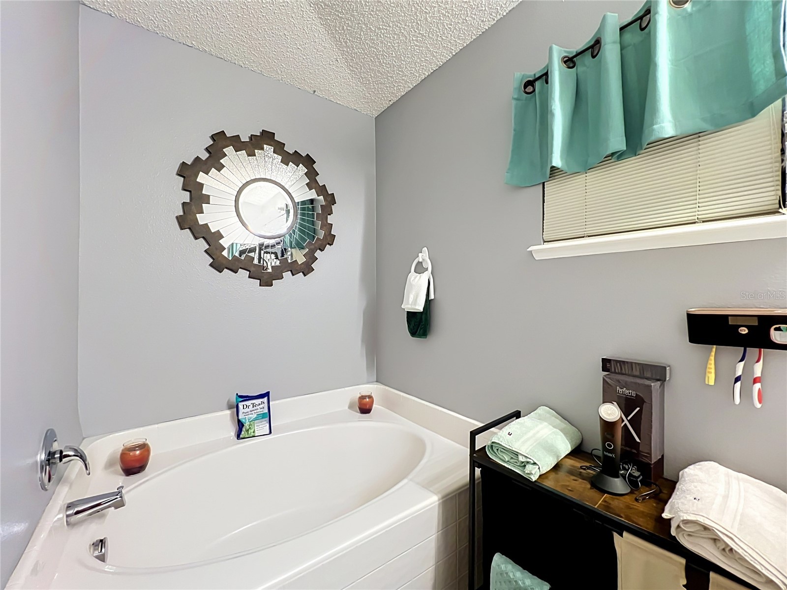 2131 Corner School Drive Orlando FL 32820 A4696927 image17
