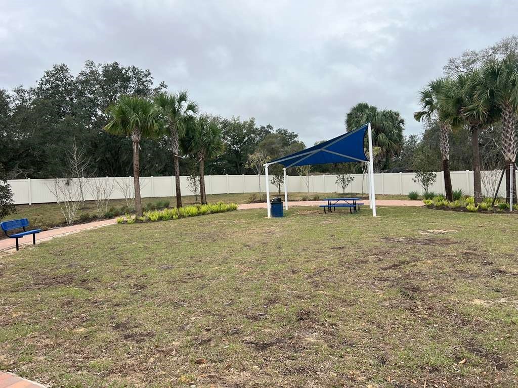 2131 Doe Run Drive Davenport FL 33837 S5142519 image41