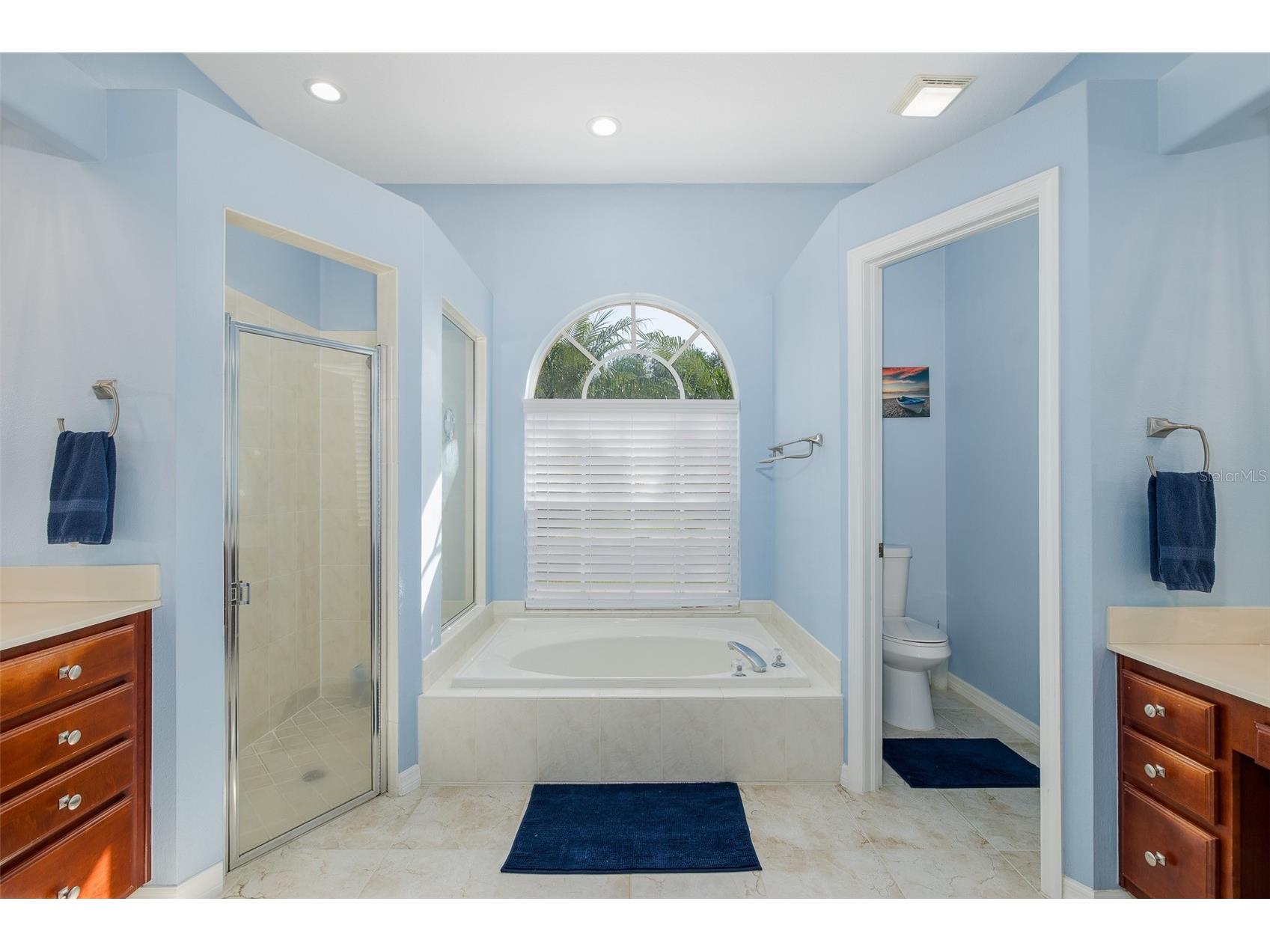2131 Gold Dust Court Trinity FL 34655 W7885626 image17