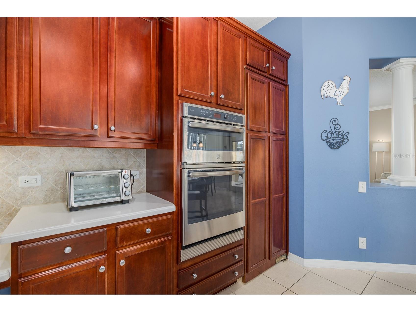 2131 Gold Dust Court Trinity FL 34655 W7885626 image26