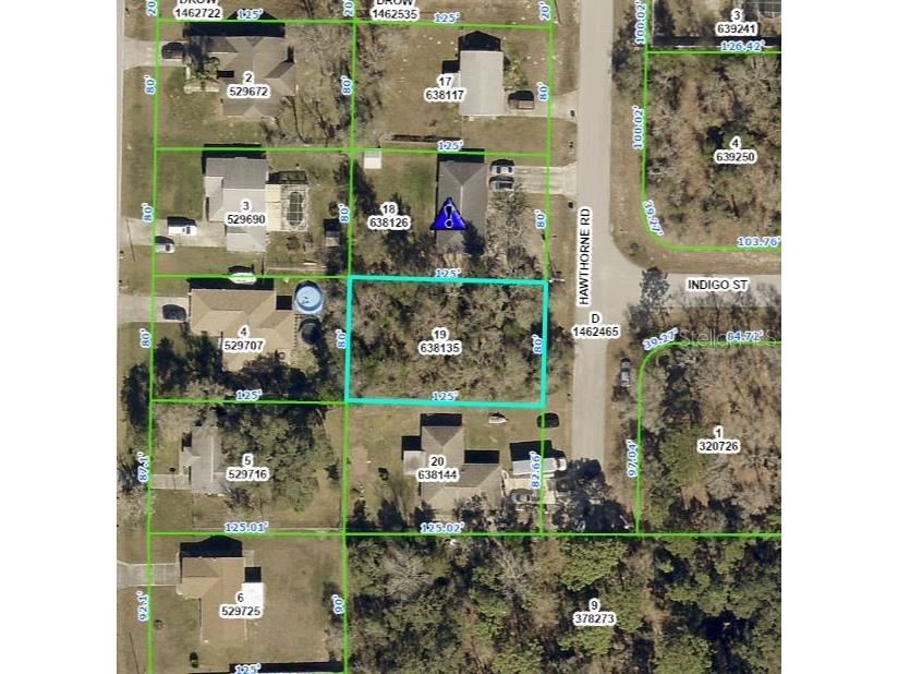 2131 Hawthorne Road Spring Hill FL 34609 T3384452 image1