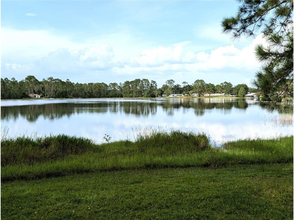 2131 NE 145th Avenue Road Silver Springs FL 34488 OM703617 image1