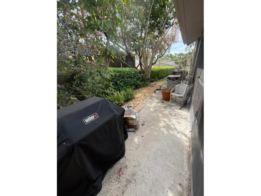 2131 Ridge Road S #74 Largo FL 33778 TB8497540 image20