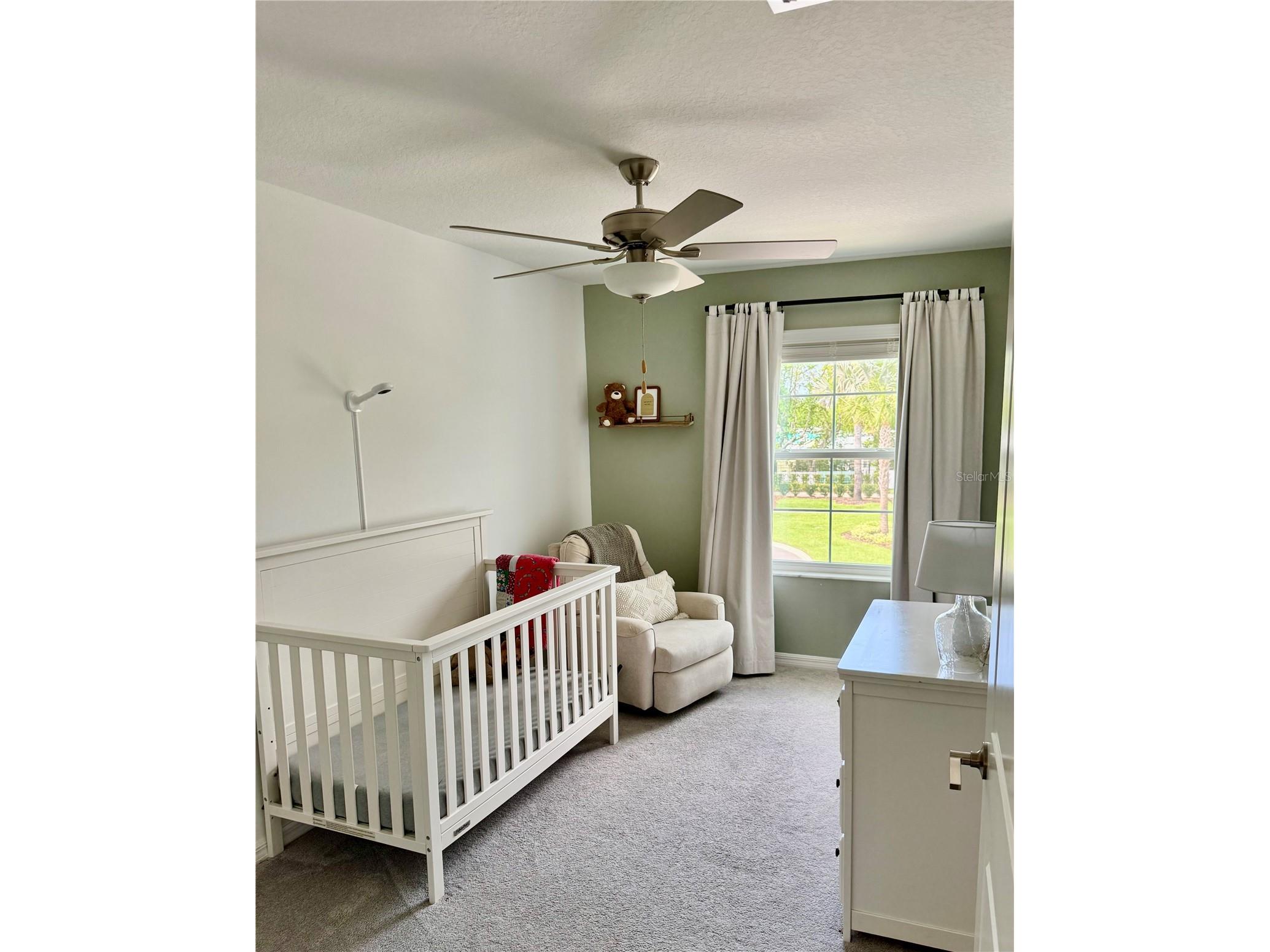 21312 Darter Road Land O Lakes FL 34638 TB8494054 image10