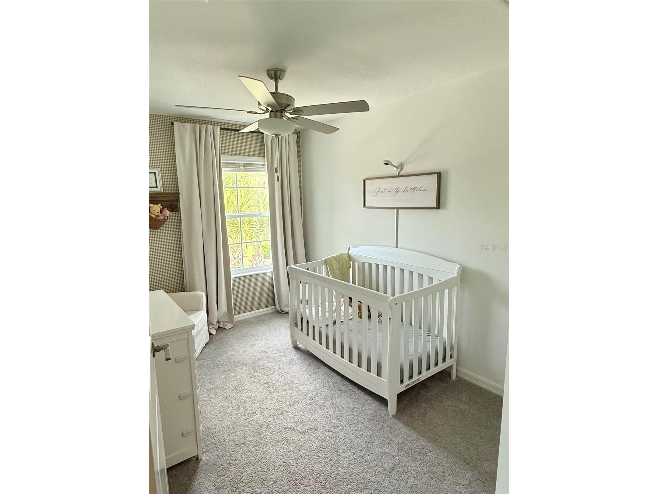 21312 Darter Road Land O Lakes FL 34638 TB8494054 image11