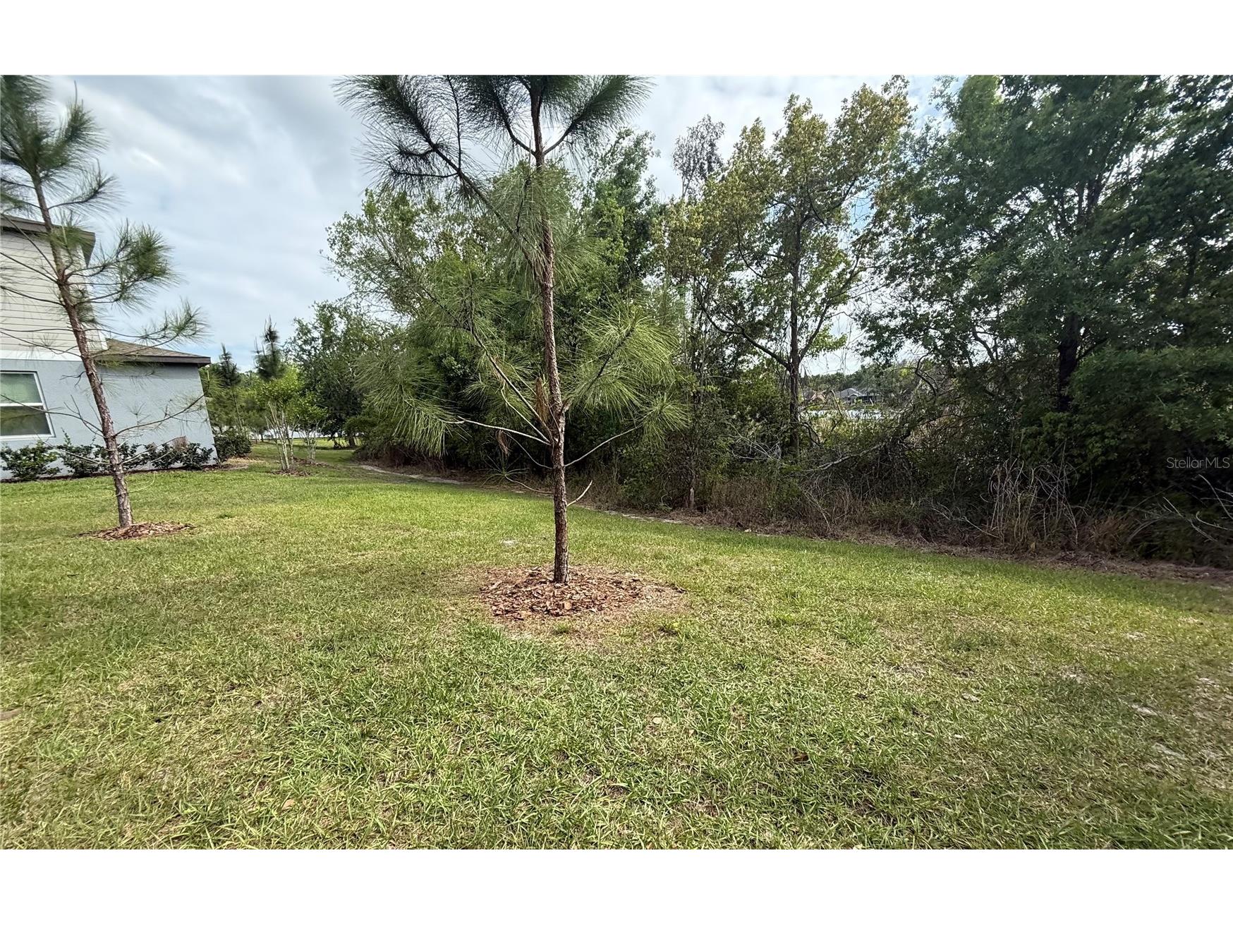 21312 Darter Road Land O Lakes FL 34638 TB8494054 image15